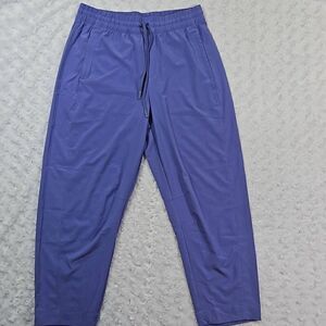 Athleta Womens Size 8 Arrival Straight Leg Ankle Pants Adonis Purple Athleisure
